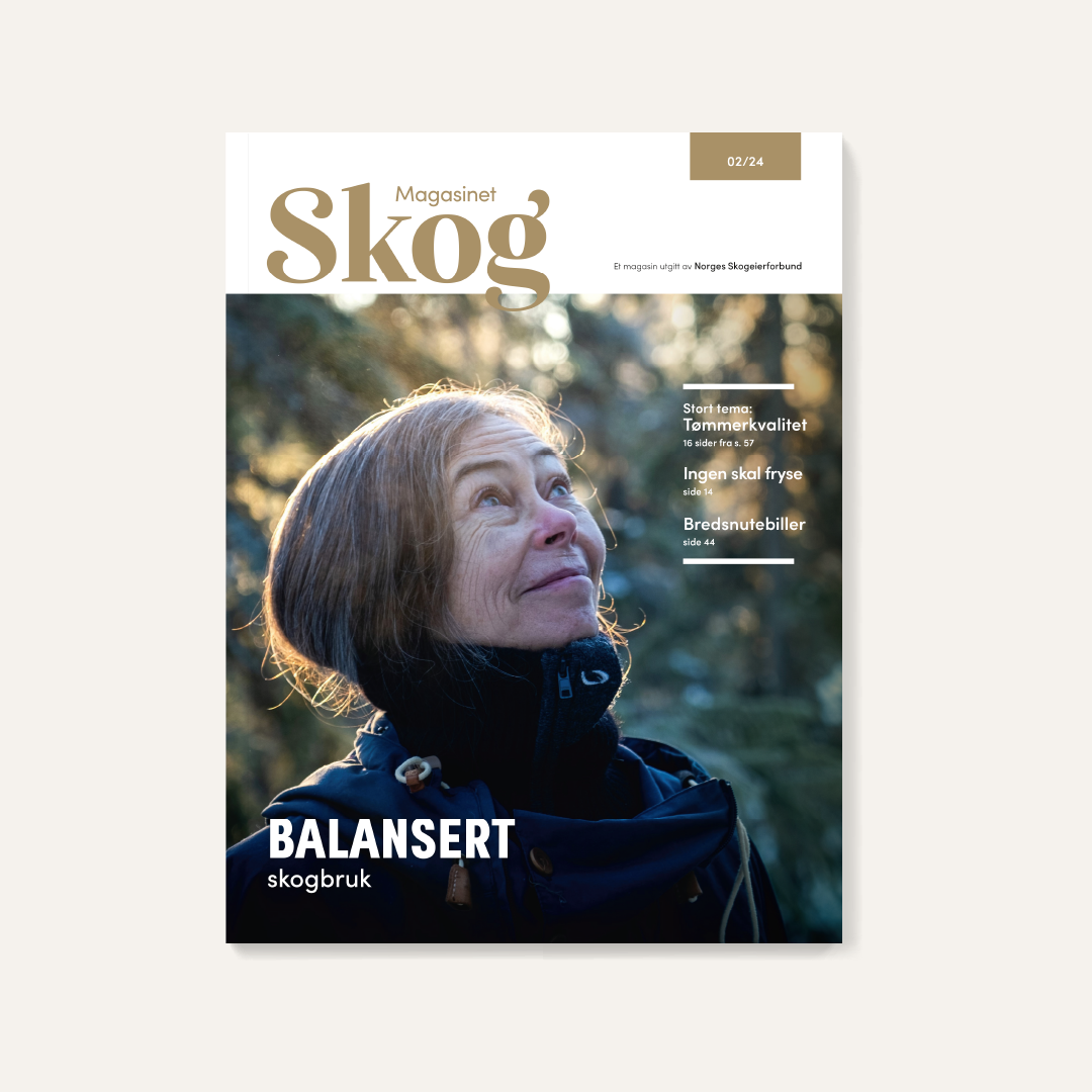 Magasindesign, design, magasin, trykk, layout